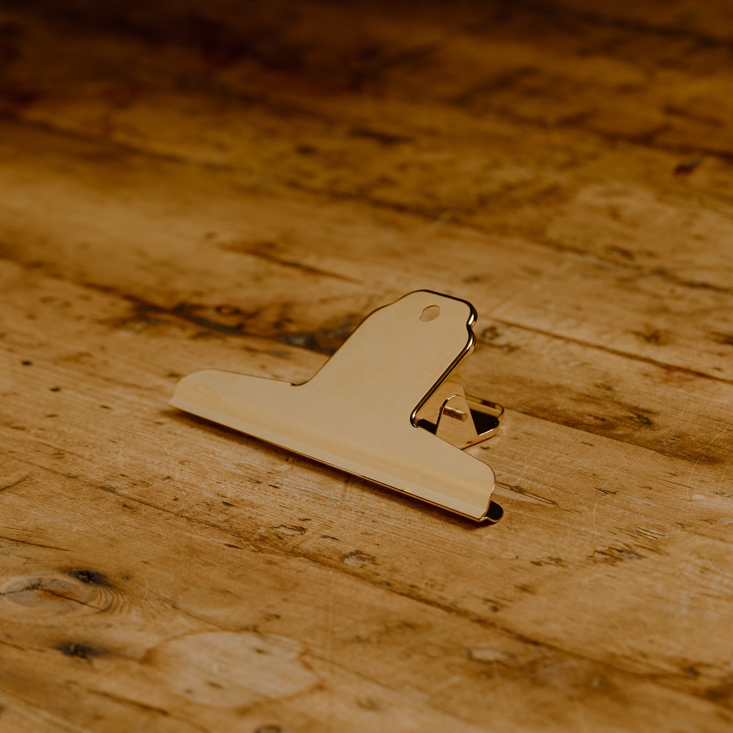 Brass Plated (Stainless Steel) Clips